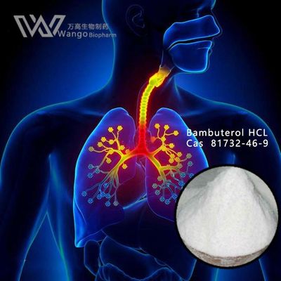 Bambuterol Hcl Pharma Pure Powder , Bronchial Asthma Treatment 81732-46-9