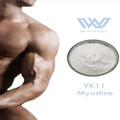 Pharma Bodybuilding Your Partner in Achieving Your Bodybuilding Goals with YK-11