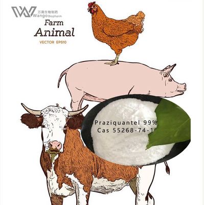 USP36 Pure Ivermectin Powder , Mk933 Anti Parasitic Agents For Pets And Vets