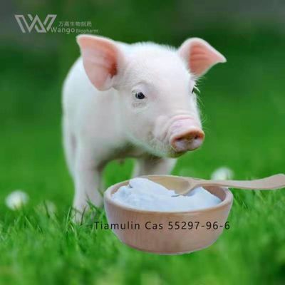 HPLC White Crystal Veterinary Tiamulin Fumarate Cas 55297-96-6