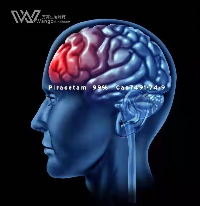 NSI-189 Treatment Alzheimer'S Disease Nootropics Brain Supplements