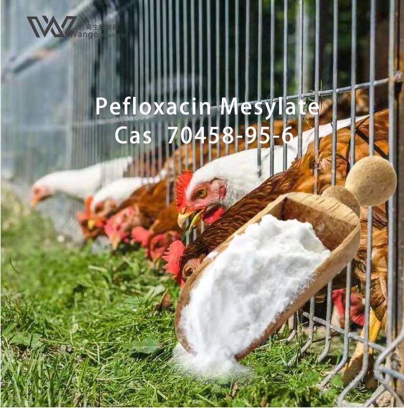 Pefloxacin Mesilate Veterinary API , 99.99% Antifungal Veterinary Drugs 70458-95-6