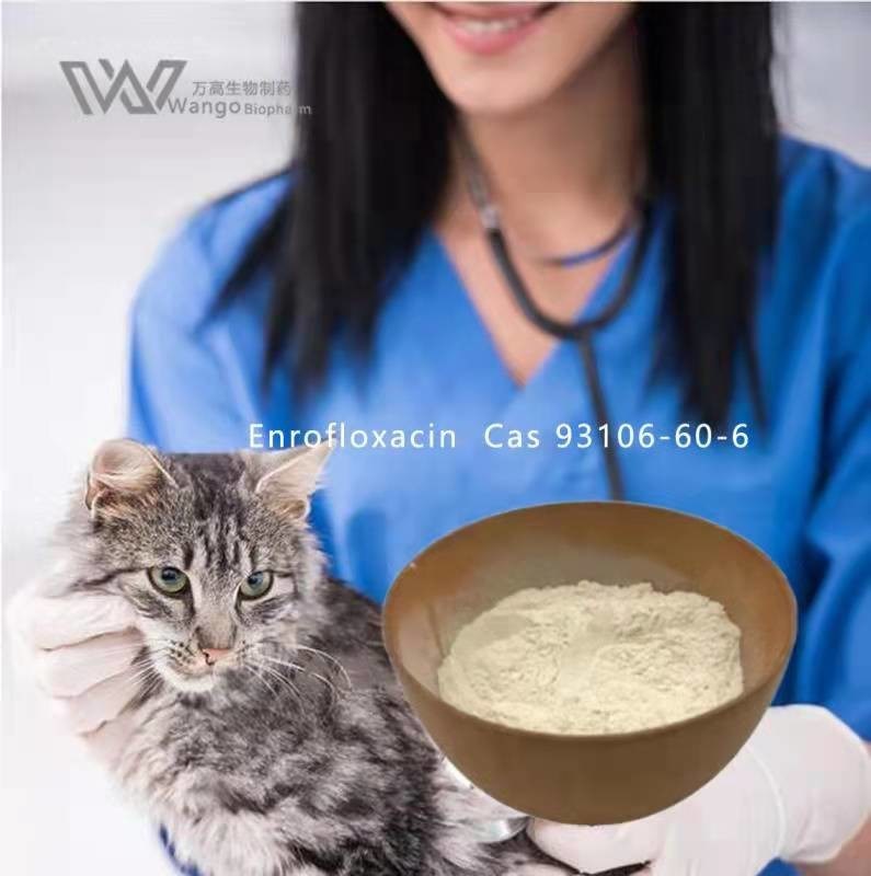 Enrofloxacin Base Powder for Poultry CAS 93106-60-6 Easily Absorbed by Oral Muscle Subcutaneous Administration