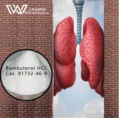 Bambuterol HCL 99 ٪ وكلاء مضادون للربو 81732-46-9 لعلاج الربو القصبي