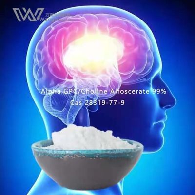 مساحيق HPLC Nootropics السائبة ، Alpha Gpc Acetylcholine 28319-77-9